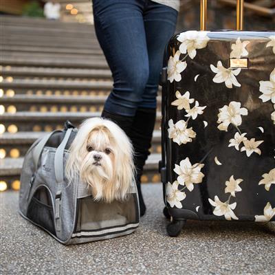 ✈️🎒🐾 Bergan Comfort Carrier – Transportadora Aprobada para Avión con Estilo y Máxima Comodidad (Talla Grande)