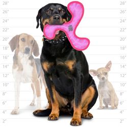 🌀 DuraForce® Boomerang – Súper Resistente