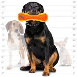 🦴 DuraForce® Hueso – Súper Resistente.