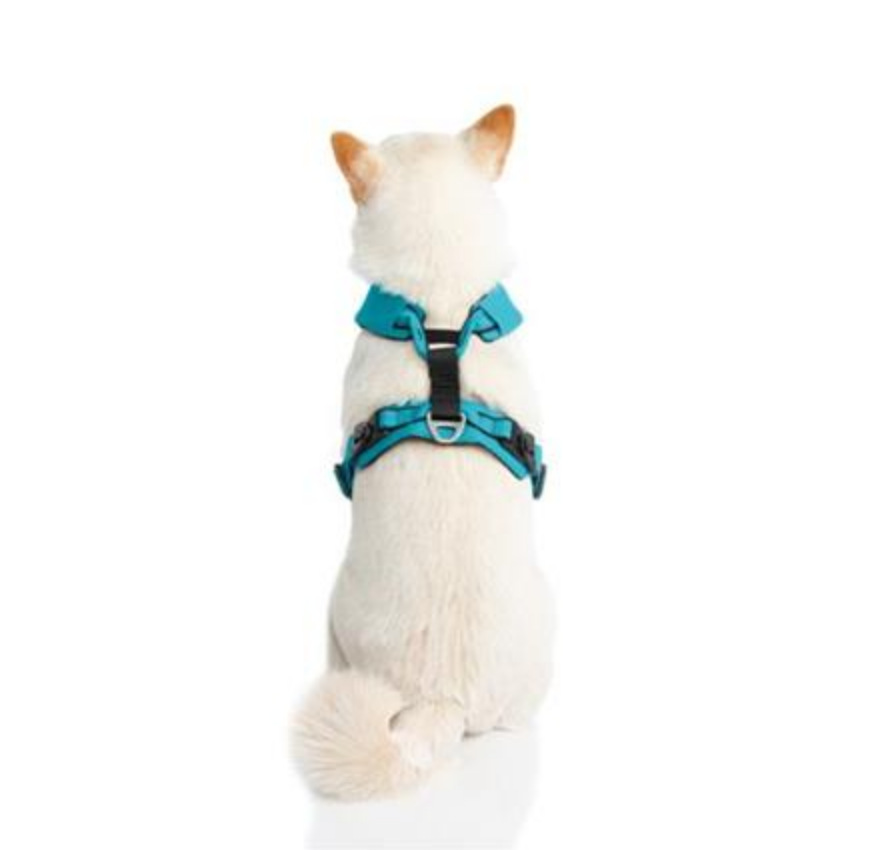 ⚙️🐕 Gooby Arnés Lite Gear Z – Diseño Ergonómico con Absorción de Impactos