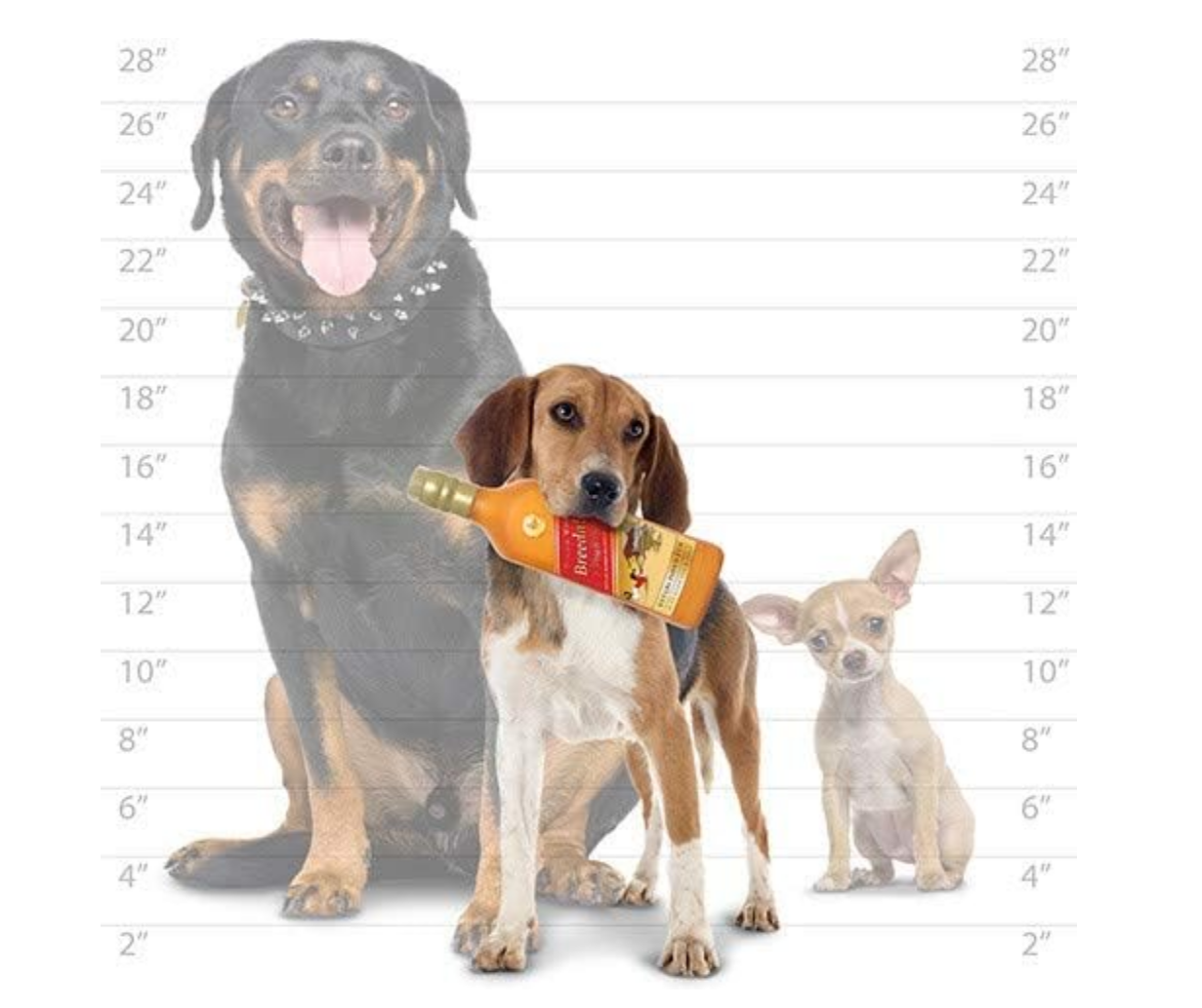 🥃 Doggie Walker – Botella de Licor para Perros