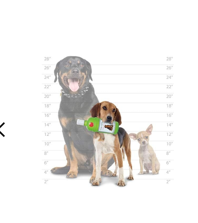 🥃 To Sit and Stay – Botellas de Licor para Perros