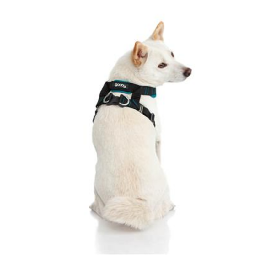 🐕🦺 Arnés Ergonómico Antirrasguños con Absorción de Impactos – Para Perros Medianos