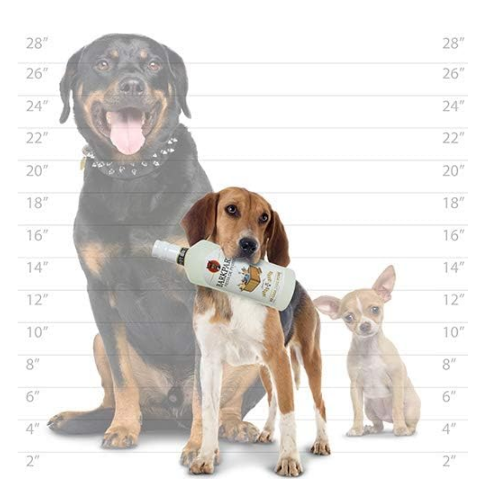 🥳 Barkparty – Botella de Licor para Perros