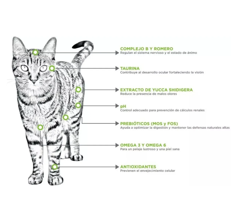🐱 Nupec Felino Adult Indoor 1.5KG, 3KG Y 5KG– Croqueta para Gato (Adulto Indoor)
