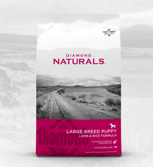 🐶🍼 Diamond Naturals Large Breed Puppy – Alimento para Cachorros de Raza Mediana y Grande