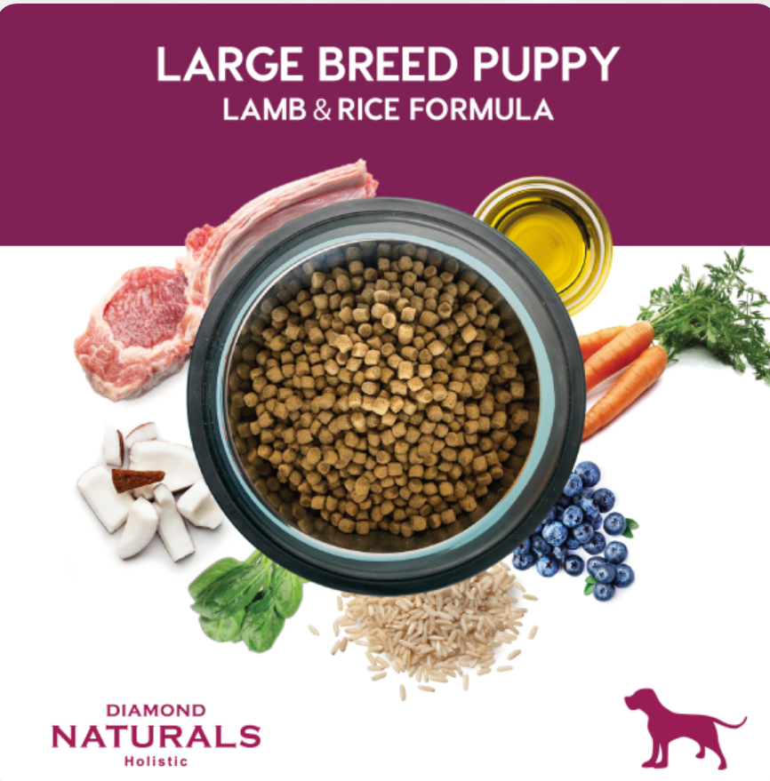 🐶🍼 Diamond Naturals Large Breed Puppy – Alimento para Cachorros de Raza Mediana y Grande