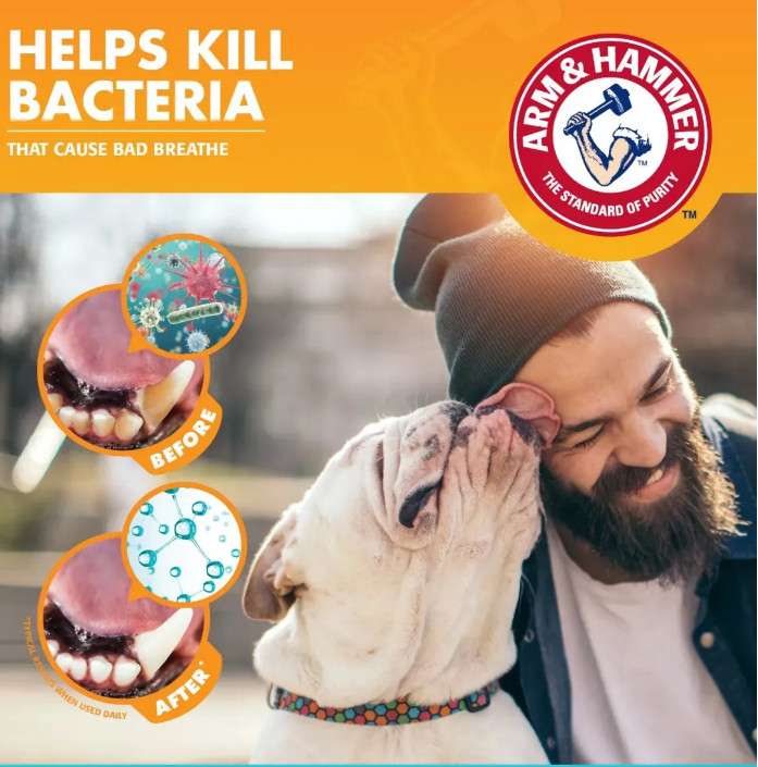 🦷 Arm &amp; Hammer Pasta Dental para Perros – Vainilla &amp; Jengibre, 67.5 g