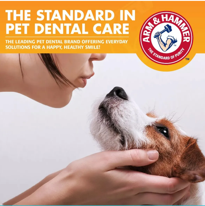 🦷 Arm &amp; Hammer Pasta Dental para Perros – Vainilla &amp; Jengibre, 67.5 g