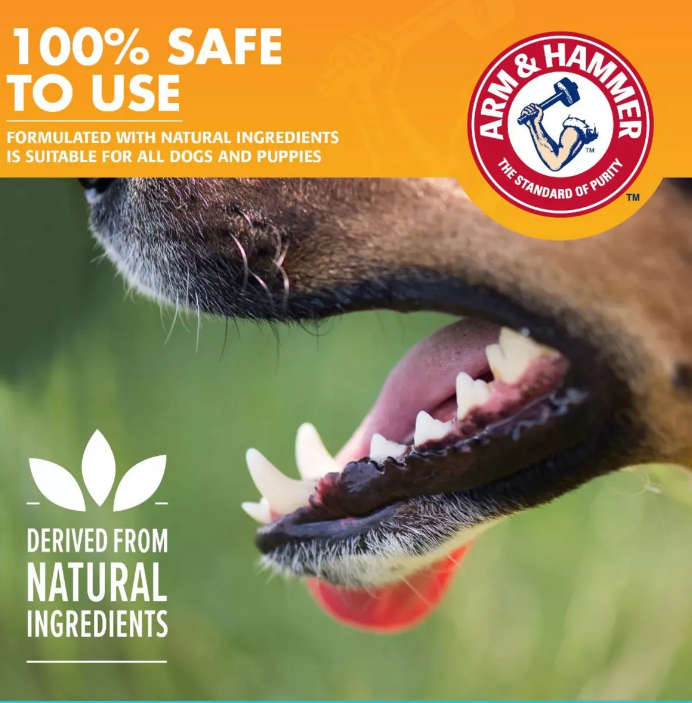 🦷 Arm &amp; Hammer Pasta Dental para Perros – Vainilla &amp; Jengibre, 67.5 g
