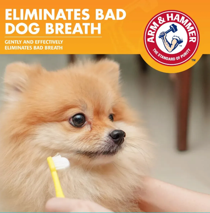 🦷 Arm &amp; Hammer Pasta Dental para Perros – Vainilla &amp; Jengibre, 67.5 g