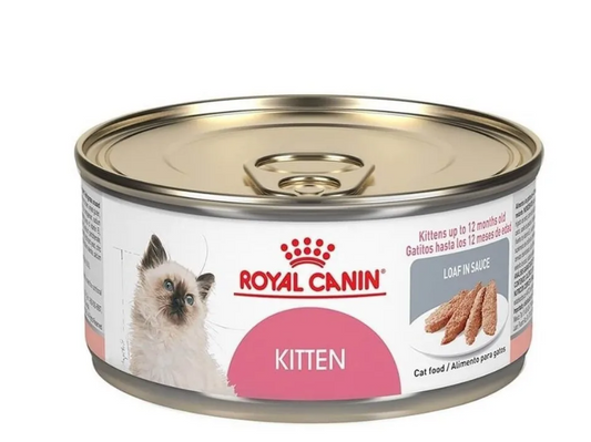 🐾 Royal Canin Kitten Thin Slices en Salsa – 85 g