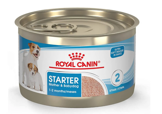 🐶 Royal Canin Starter Mother &amp; Babydog – Alimento Húmedo, 145 g