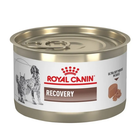 🐾 Royal Canin Recovery – Alimento Húmedo para Recuperación, 145 g