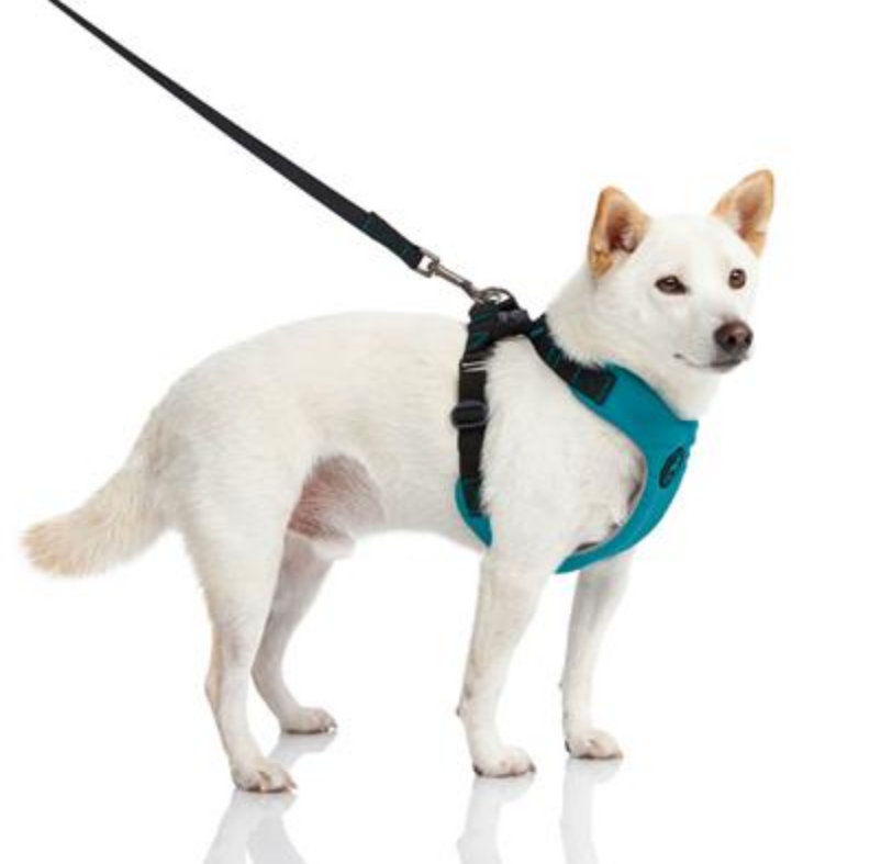 🐕🦺 Arnés Ergonómico Antirrasguños con Absorción de Impactos – Para Perros Medianos