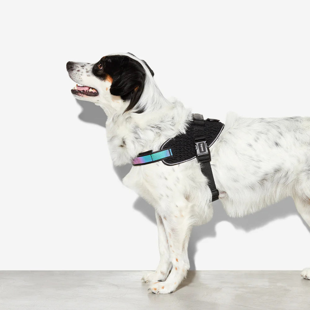 🐾 Zee.Dog FlyHarness – Arnés para Perros CMYK