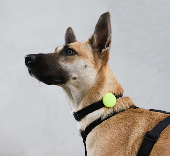 🔍🐾 Porta AirTag – Accesorio de Silicona para Collar o Arnés