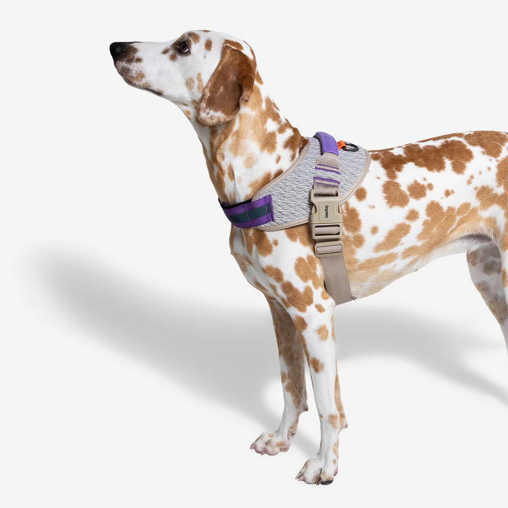 🐾 Zee.Dog FlyHarness – Arnés para Perros CMYK