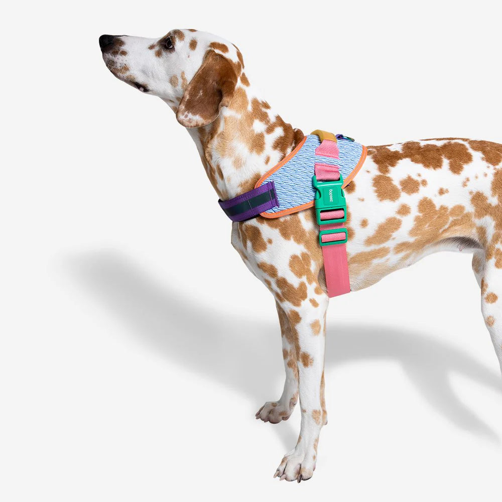 🐾 Zee.Dog FlyHarness – Arnés para Perros CMYK