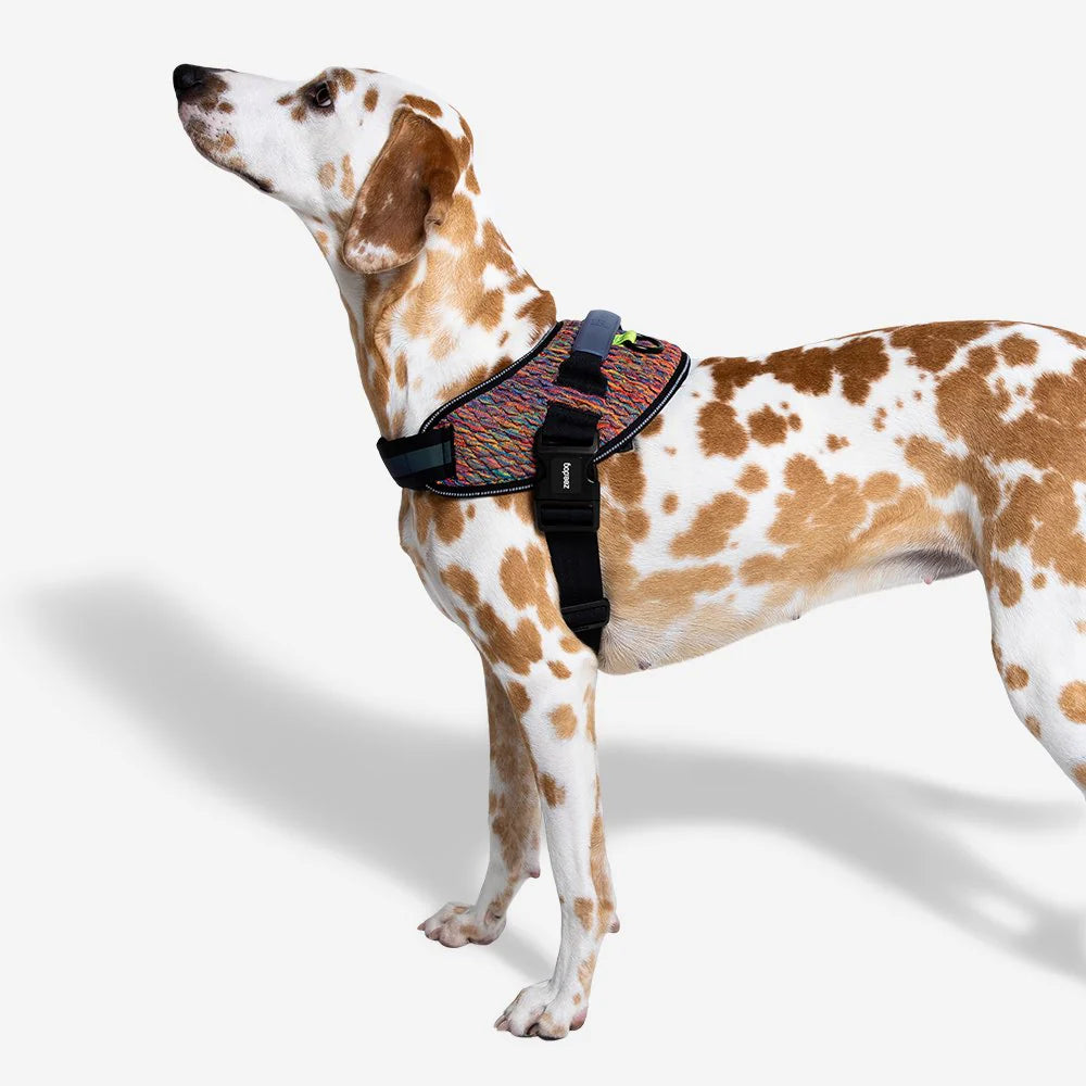 🐾 Zee.Dog FlyHarness – Arnés para Perros CMYK